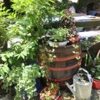 Régi Idők Udvara Skanzen és Étterem Tihany - Külső kép