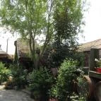 Régi Idők Udvara Skanzen és Étterem Tihany - Külső kép