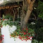 Régi Idők Udvara Skanzen és Étterem Tihany - Külső kép