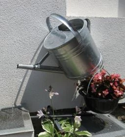 Régi Idők Udvara Skanzen és Étterem