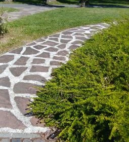 Római-forrás és Kneipp taposó