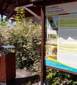 Római-forrás és Kneipp taposó