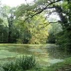 Sárvári Arborétum Sárvár - 