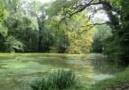 Sárvári Arborétum Sárvár