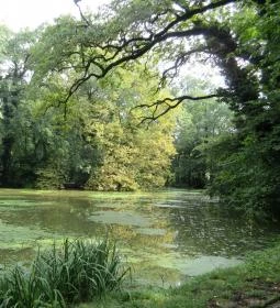 Sárvári Arborétum