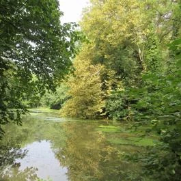Sárvári Arborétum, Sárvár - 