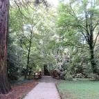 Sárvári Arborétum Sárvár - 