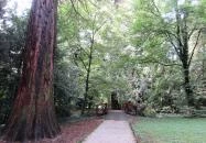 Sárvári Arborétum Sárvár