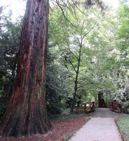 Sárvári Arborétum