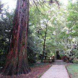 Sárvári Arborétum, Sárvár - 