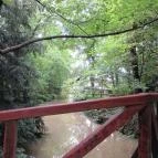 Sárvári Arborétum Sárvár - 