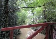 Sárvári Arborétum Sárvár