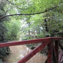 Sárvári Arborétum, Sárvár - 