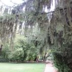 Sárvári Arborétum Sárvár - 