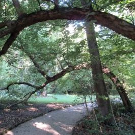 Sárvári Arborétum, Sárvár - 