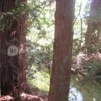 Sárvári Arborétum Sárvár - 