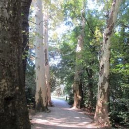 Sárvári Arborétum, Sárvár - 