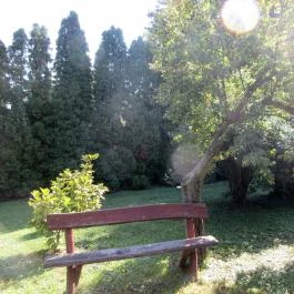 Sárvári Arborétum, Sárvár - 