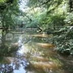 Sárvári Arborétum Sárvár - 