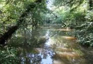 Sárvári Arborétum Sárvár