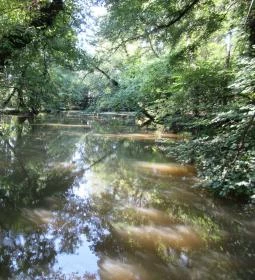 Sárvári Arborétum