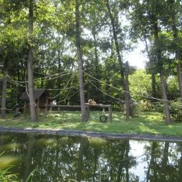 Sóstó Zoo - Nyíregyházi Állatpark, Nyíregyháza - 