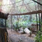 Sóstó Zoo - Nyíregyházi Állatpark Nyíregyháza - 