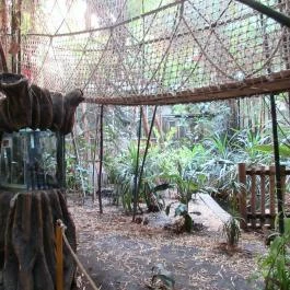 Sóstó Zoo - Nyíregyházi Állatpark, Nyíregyháza - 