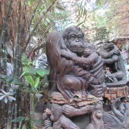 Sóstó Zoo - Nyíregyházi Állatpark, Nyíregyháza - 