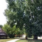 Sóstói Múzeumfalu Nyíregyháza - Egyéb