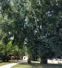 Sóstói Múzeumfalu