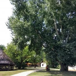 Sóstói Múzeumfalu Nyíregyháza - Egyéb