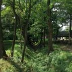 Sóstói Múzeumfalu Nyíregyháza - Egyéb