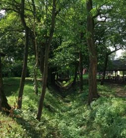 Sóstói Múzeumfalu