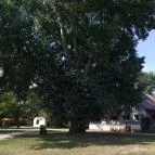 Sóstói Múzeumfalu Nyíregyháza - Egyéb