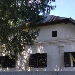 Sóstói Múzeumfalu Nyíregyháza - Egyéb