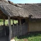 Sóstói Múzeumfalu Nyíregyháza - Egyéb