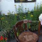 Sóstói Múzeumfalu Nyíregyháza - Egyéb