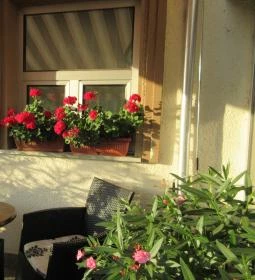 Sulyán Cukrászda (Veresegyház)