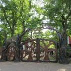 Szarvasi Arborétum Szarvas - 