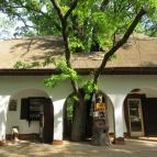 Szarvasi Arborétum Szarvas - 