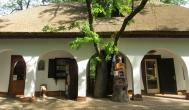 Szarvasi Arborétum Szarvas -  Szarvasi Arborétum Szarvas -