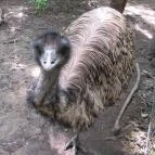 Szarvasi Arborétum Szarvas - 