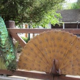 Szarvasi Arborétum, Szarvas - 