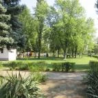 Szent András Gyógyvizes Strand Tóalmás - 