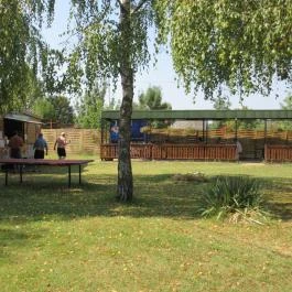 Szent András Gyógyvizes Strand Tóalmás - Egyéb