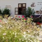 Szent Jakab templom Lébény - Egyéb