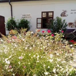 Szent Jakab templom , Lébény - Egyéb