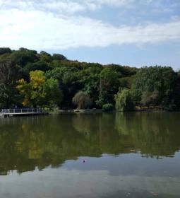 Szerencseliget Büfé & Fagyizó