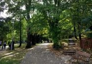 Szerencseliget Büfé & Fagyizó Abaliget